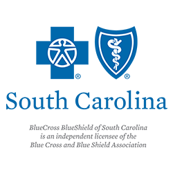 blue shield souht carolina logo